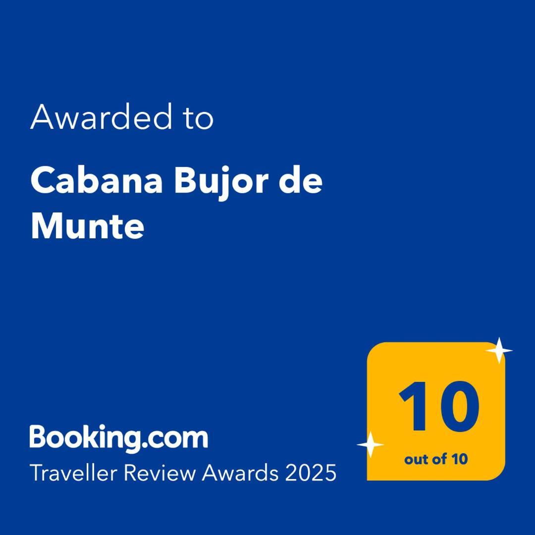 Cabana Bujor De Munte Rîşnov Екстериор снимка